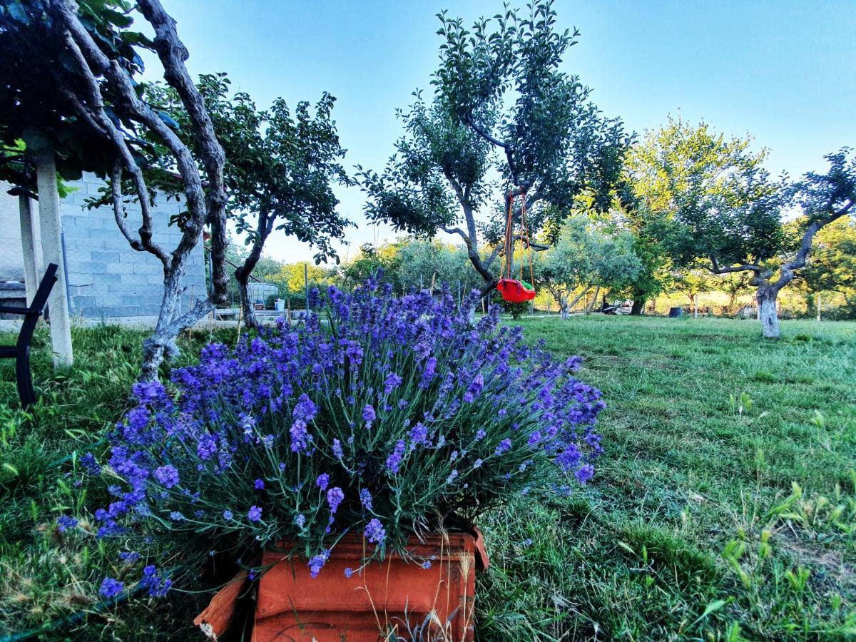 Una'S Cottage Medulin Dış mekan fotoğraf